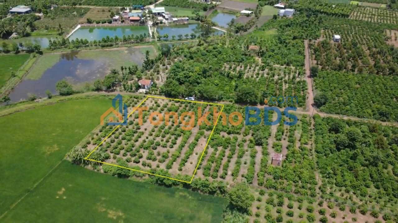 Đất thổ cư Ea Hồ 720m² 800-899 triệu - Đất thổ cư 100%