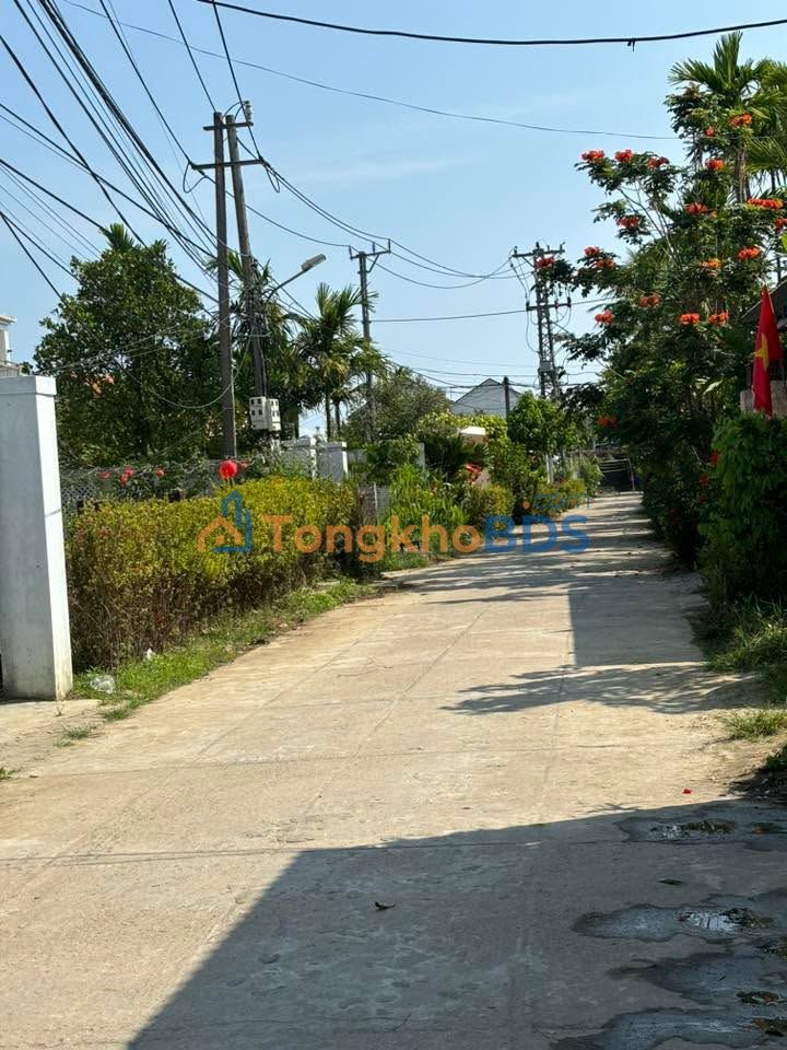 Đất nền Trần Nhân Tông Cẩm Thanh 290m² 6.65 tỷ - Hạ tầng hoàn thiện