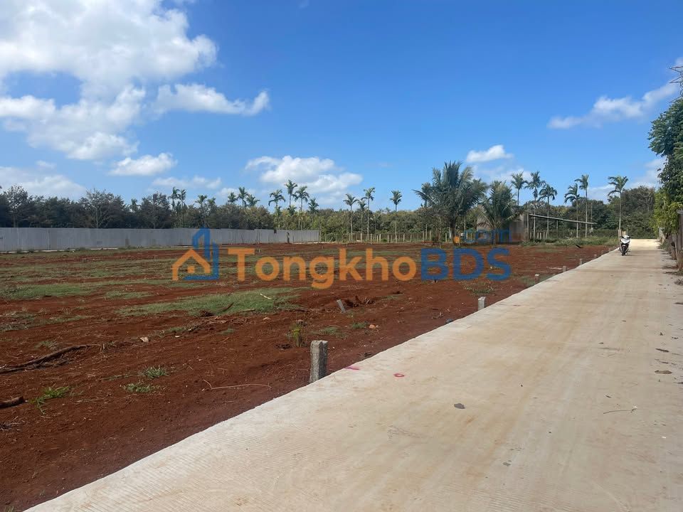 Đất nền QL26 Cư M'gar 125m² 8xx triệu - Đường ô tô