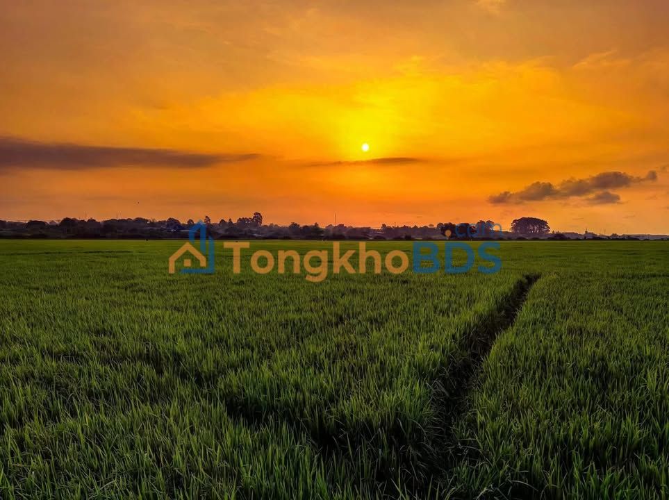 Nhà mặt tiền Hương Lộ 14 Long Điền 358m2 7.15 tỷ - Bán gấp