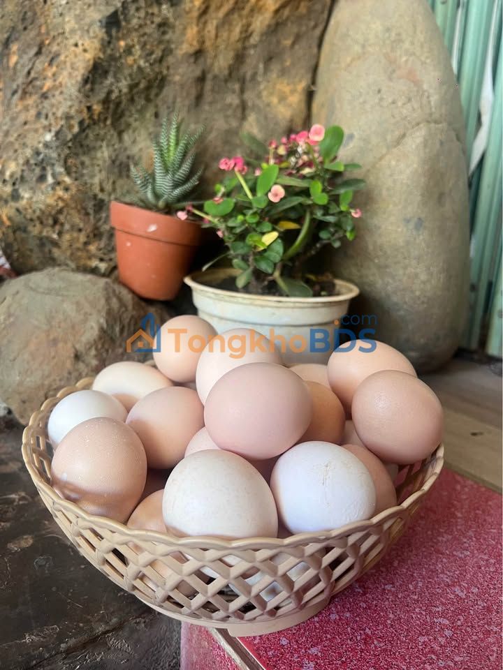 Đất Đức Trọng 145m² thỏa thuận - Sổ đỏ chính chủ