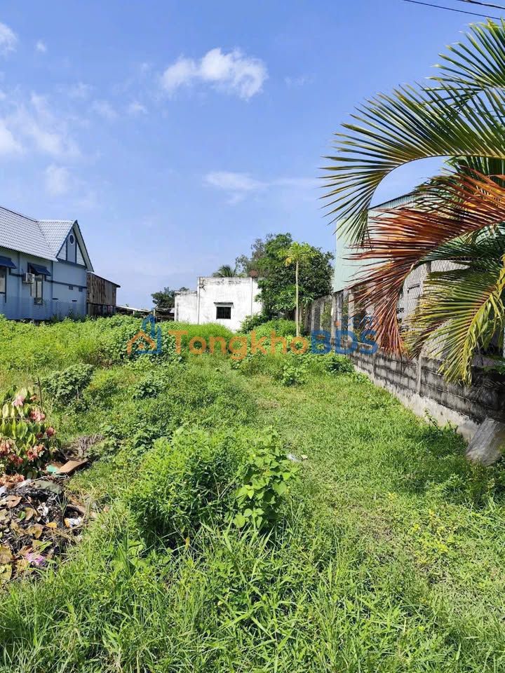 Đất nền Mỹ Hạnh Nam 5x36 1.07 tỷ - Hạ tầng hoàn thiện