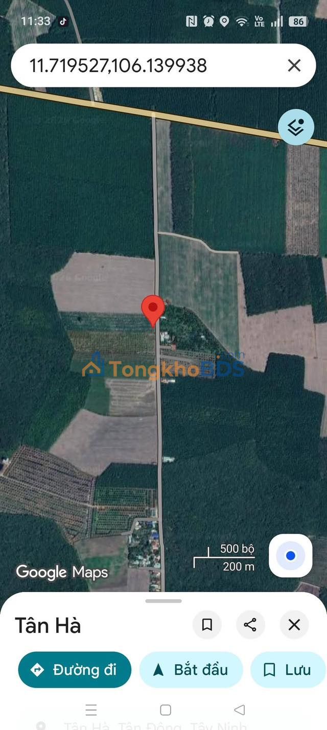 Đất nền Tân Hà Tân Châu 20.000m² 1.449 tỷ - Đường ô tô rộng