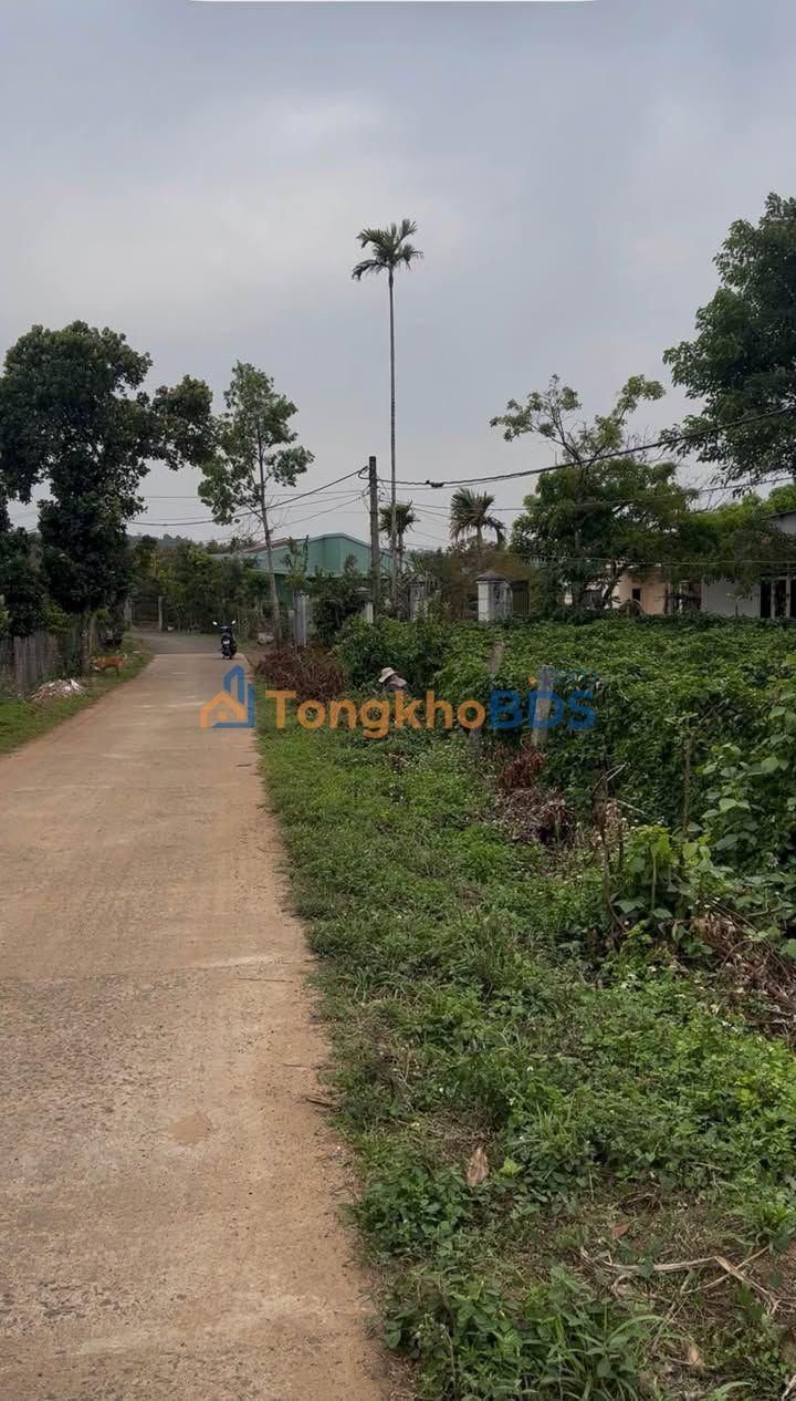 Đất nền Ia Bă 9000m² giá 1.05 tỷ - Sổ đỏ chính chủ