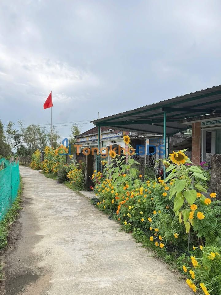 Đất nền Hoà Hội Cát Hiệp 122m² 200-299 triệu - Sổ đỏ chính chủ