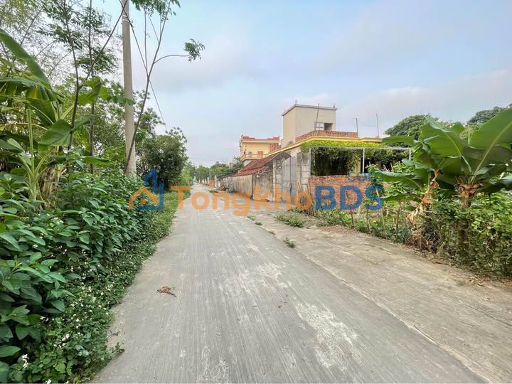 Đất thổ cư Thôn Trực Nho 70m² 800-899 triệu - Sổ đỏ chính chủ