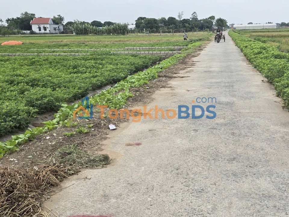 Đất nền Nga Thành huyện Nga Sơn 150m² giá tốt hiếm có