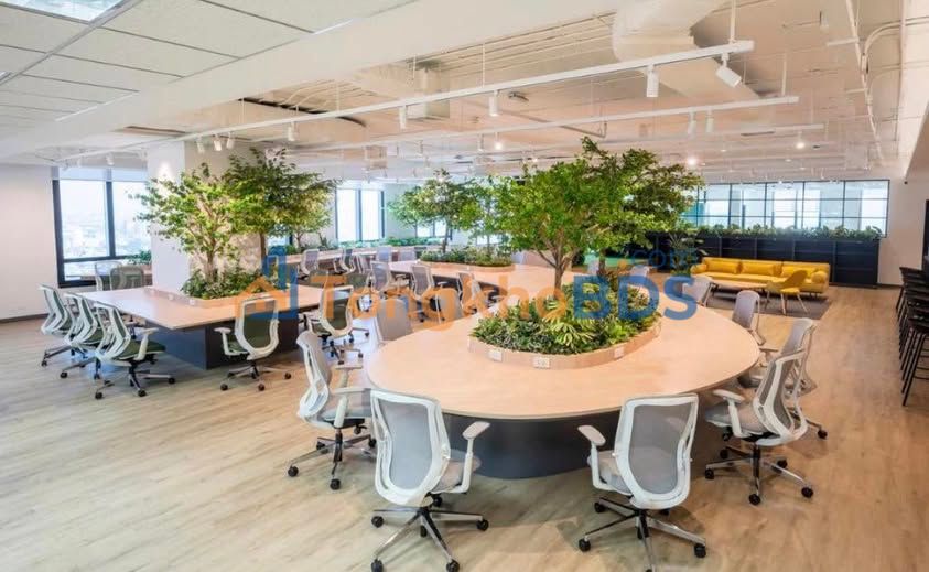 Văn phòng Vũ Tông Phan Thanh Xuân 100m² 17.5tr - Sẵn sàng làm việc