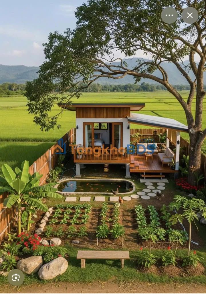 Nhà hẻm ô tô Xô Viết Nghệ Tĩnh Vũng Tàu 120m² 8.5 triệu - Sẵn ở ngay