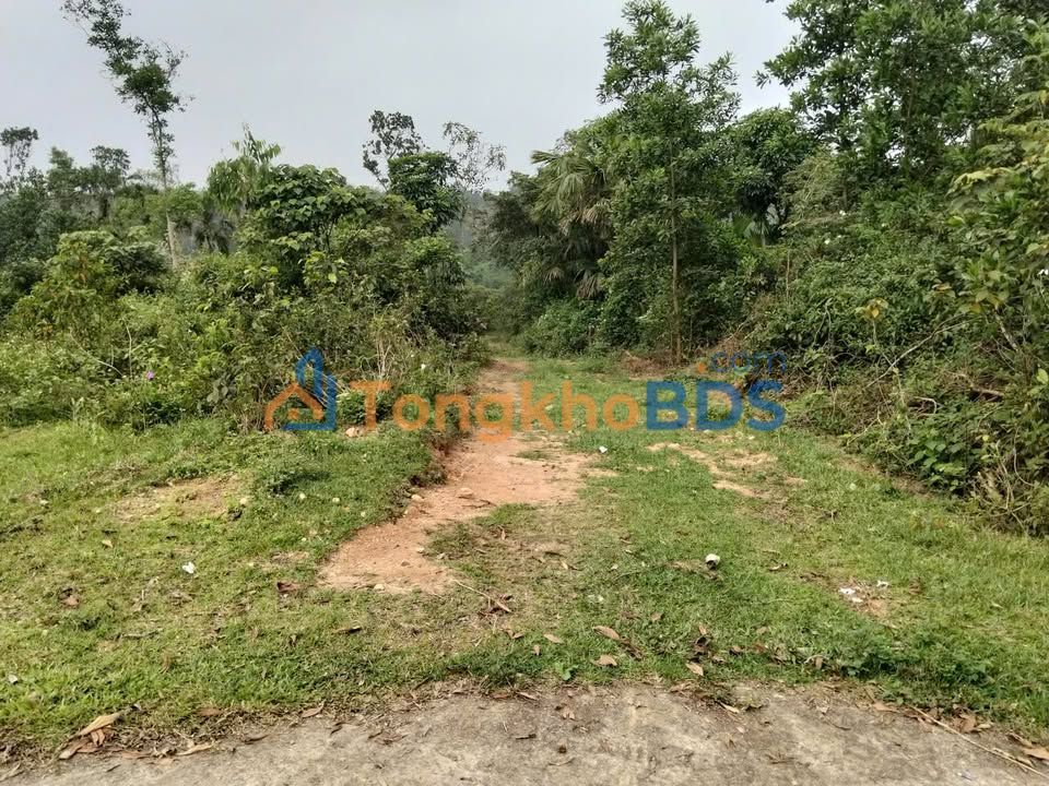 Đất Vĩnh Mới Việt Tiến 921m² thỏa thuận - Đường to ô tô