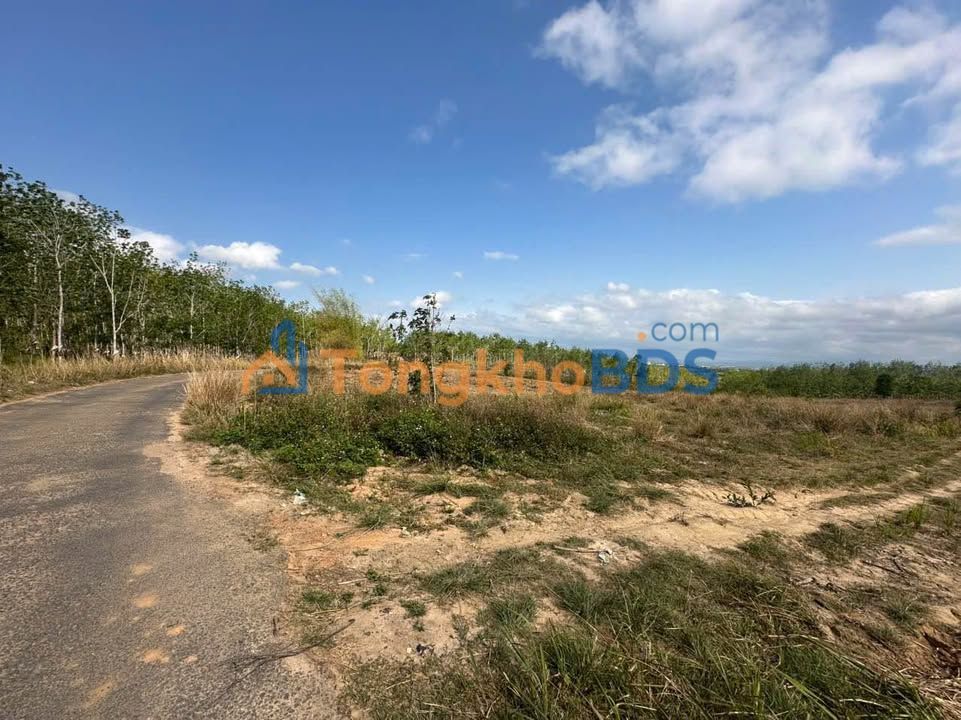 Đất nền Kon Tum Võ Văn Tần 175m² 2xx triệu - Sổ đỏ chính chủ