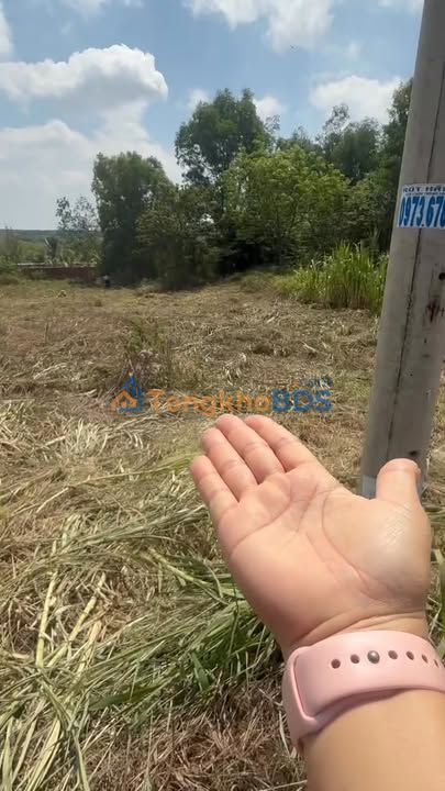 Đất nền Vĩnh Hòa Phú Giáo 432m² 800 triệu - Sổ đỏ