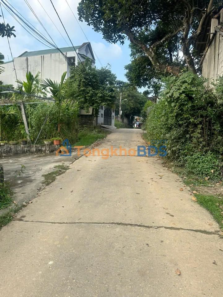 Đất nền Nông Tiến 88m² 1.2 tỷ Tuyên Quang - Đường to ô tô