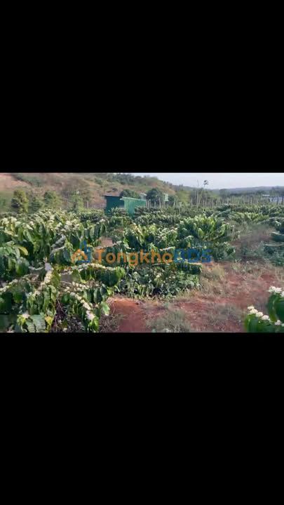 Đất nền Buôn Lê Đá Ea Drăng 1440m² 970 triệu - Sổ đỏ chính chủ