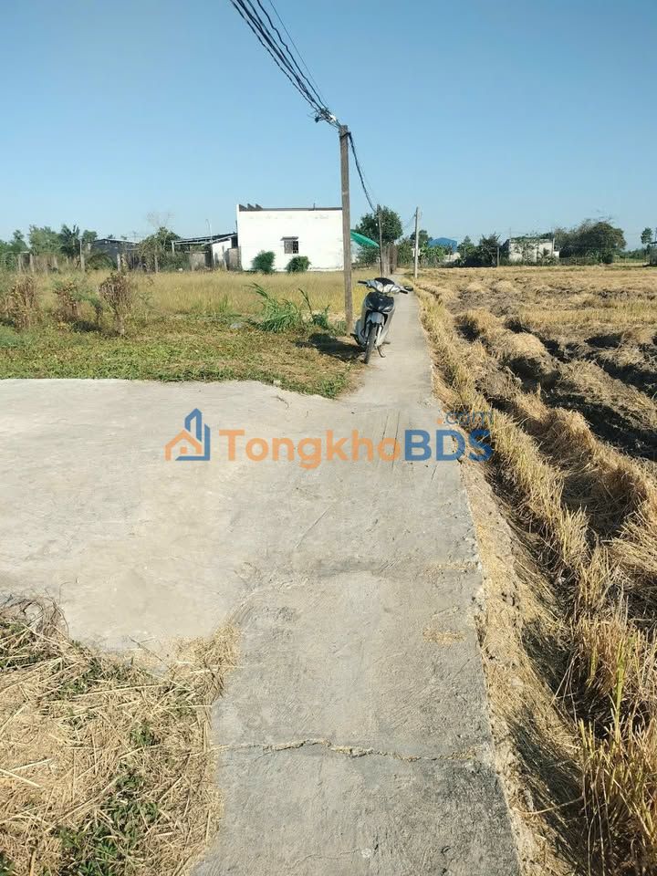 Đất nền Thường Lạc Đồng Tháp 100m² 280tr - Sổ đỏ chính chủ