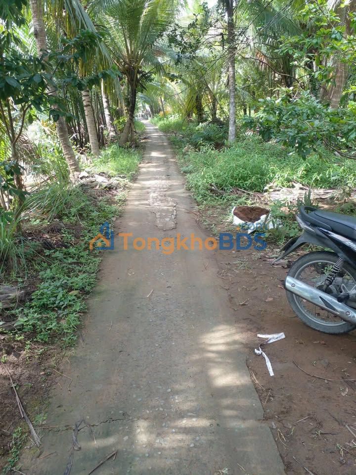 Đất nền Thành Thới B Bến Tre 1.000m² 400 triệu - Tiềm năng tăng giá