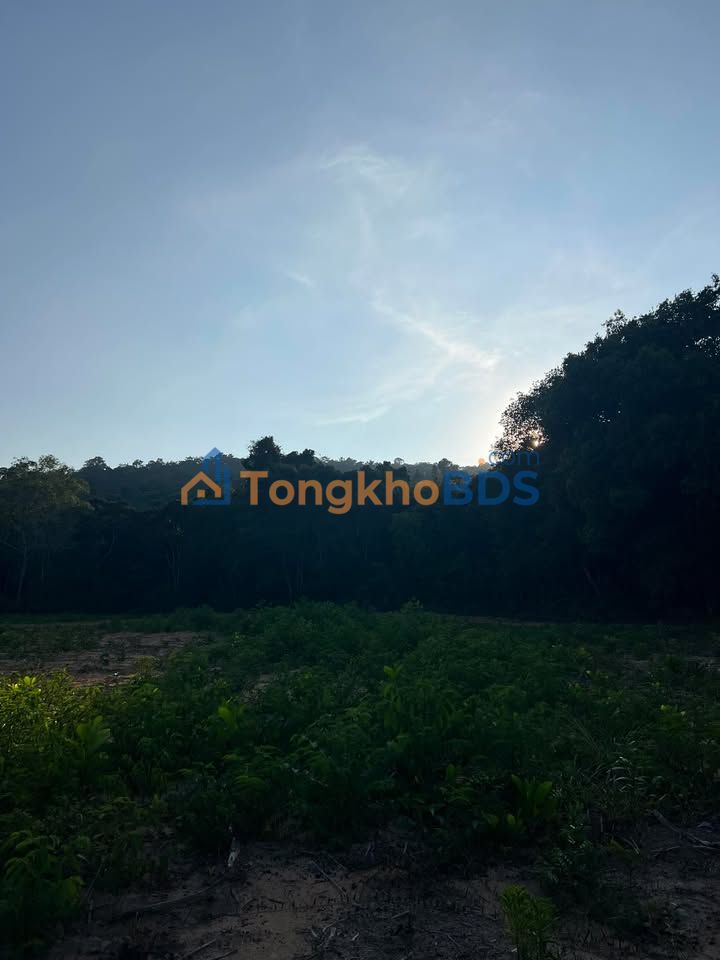 Đất nền Cửa Cạn 10.000m² giá 1 tỷ - Tiềm năng tăng giá