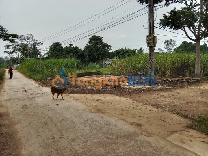 Đất nền Minh Tiến Ngọc Lặc 1.000m² 800 triệu - Sổ đỏ chính chủ