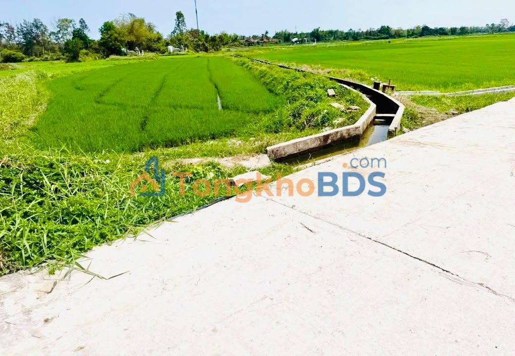 Đất nền Bình Nam Thăng Bình 400m² 600 triệu - Đường to ô tô