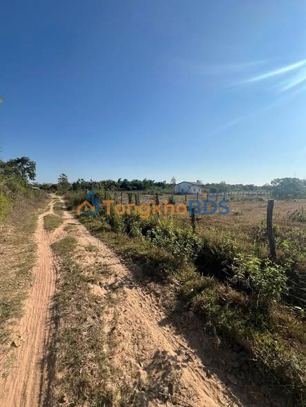 Đất nền Ea Lê Ea Súp 1.200m² 160 triệu - Sổ đỏ chính chủ