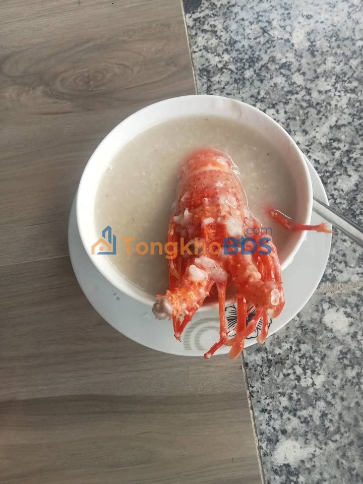 Đất nền Phú Văn Ninh Trung 344m² - Giá F0 CĐT