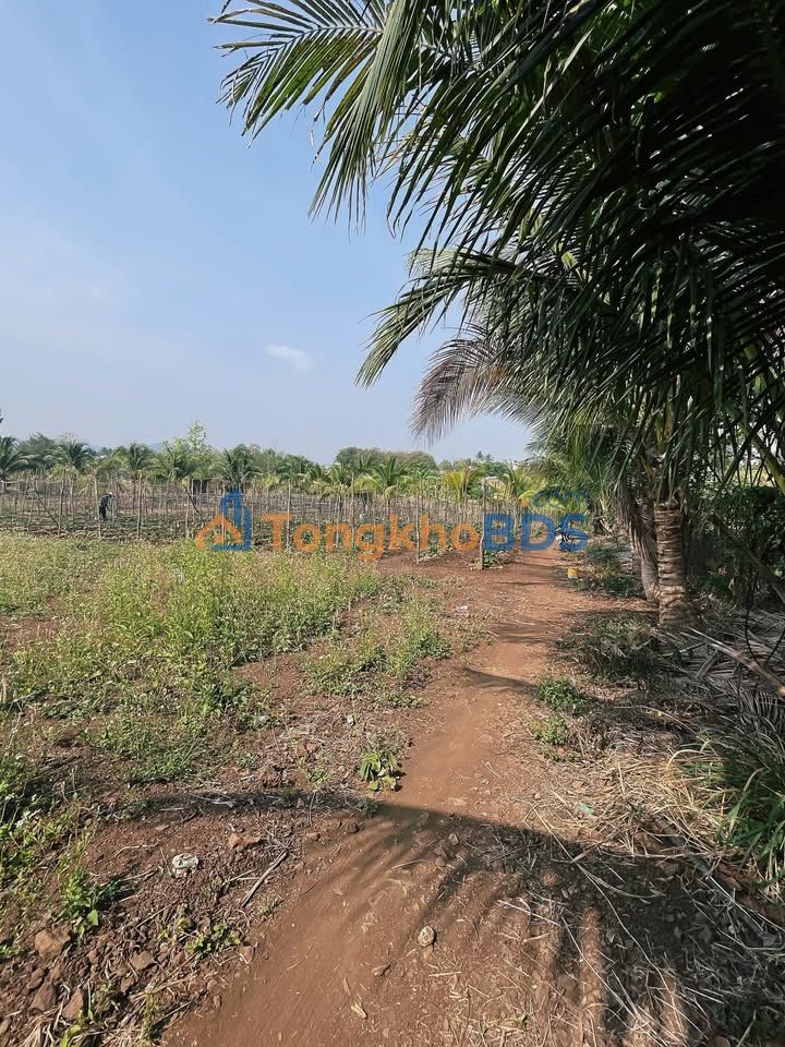 Đất Hòa Phú Buôn Ma Thuột 3000m² 3 tỷ - Tiềm năng tăng giá