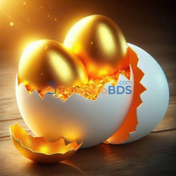 Nhà trệt Phường 3 Đà Lạt 60m² giá 1.43 tỷ - Chính chủ bán nhanh