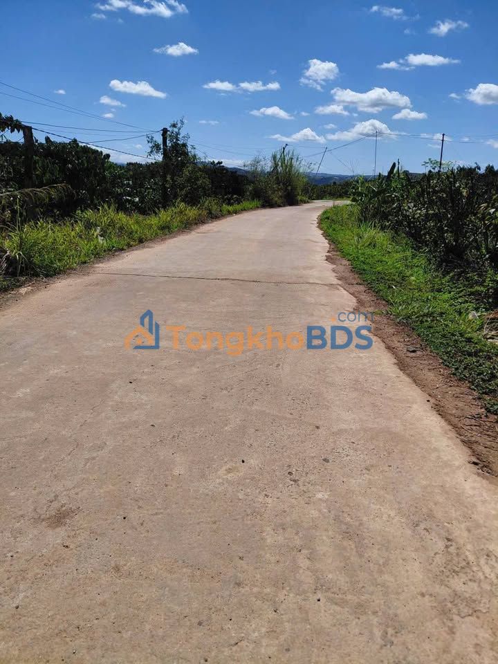 Đất nền Gia Lâm Lâm Hà 583m² 1,75 tỷ - Sổ đỏ chính chủ