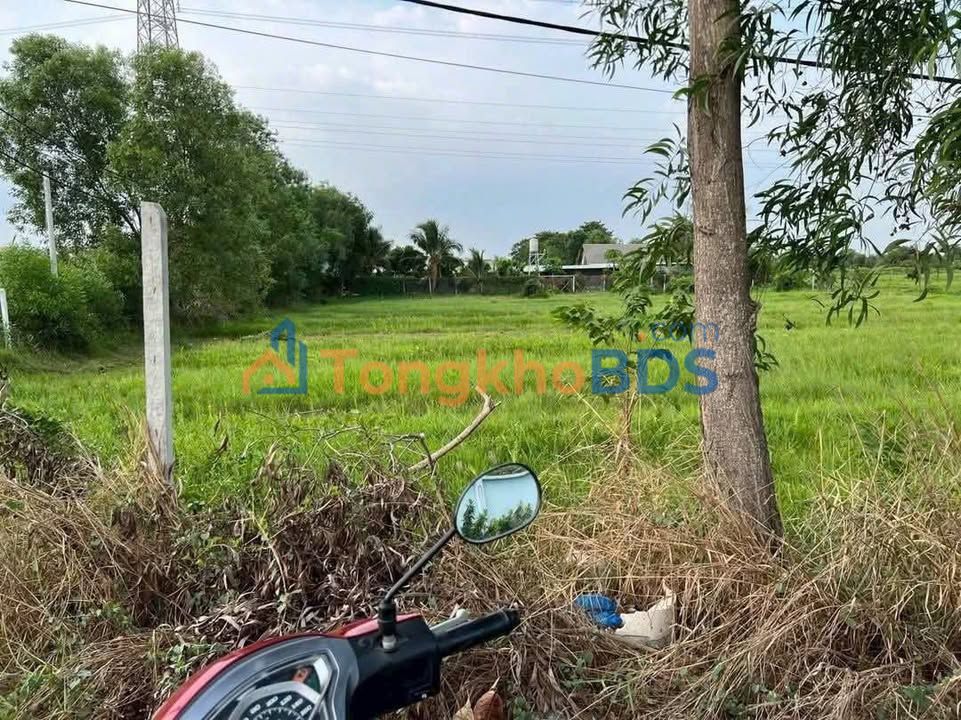 Đất vườn Trung An Củ Chi 2.960m² 6 tỷ - Sổ đỏ chính chủ