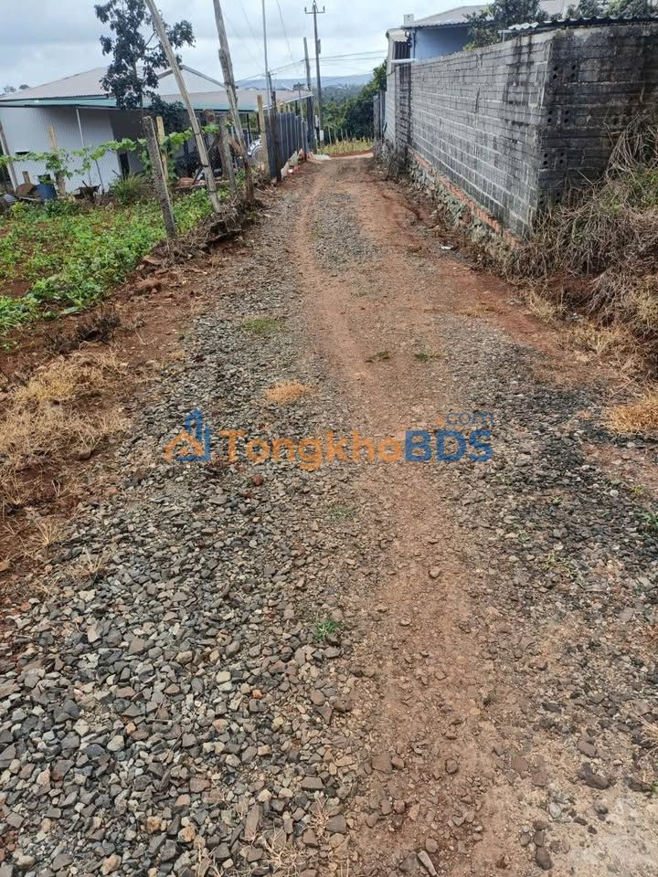 Đất hẻm Hàm Nghi Buôn Hồ 10,1x25,5m 1,55 tỷ - Xây dựng tự do