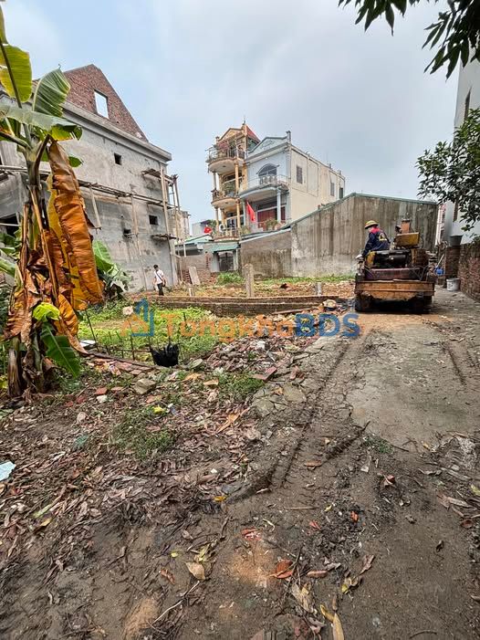 Đất nền Vin Cổ Loa Đông Anh 50m² giá 4 tỷ - Sổ đỏ chính chủ