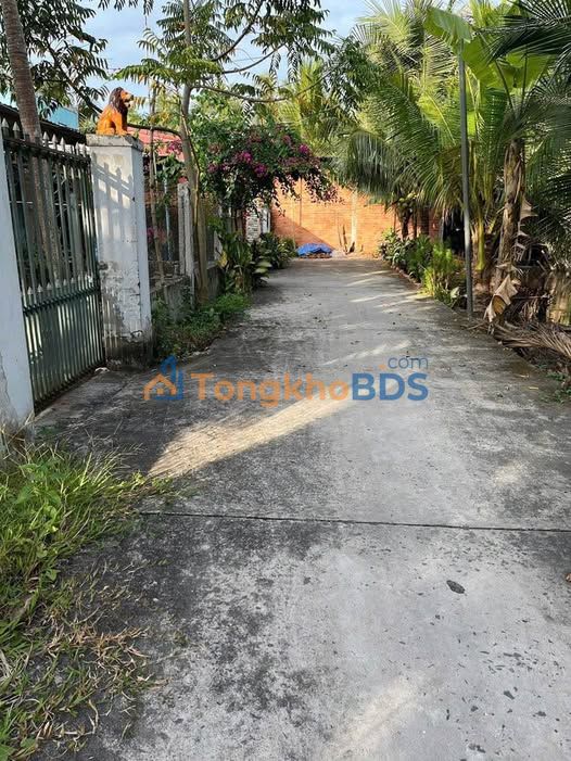 Đất nền Mỹ An Thạnh Phú 873m² 2.6 tỷ - Sổ đỏ chính chủ