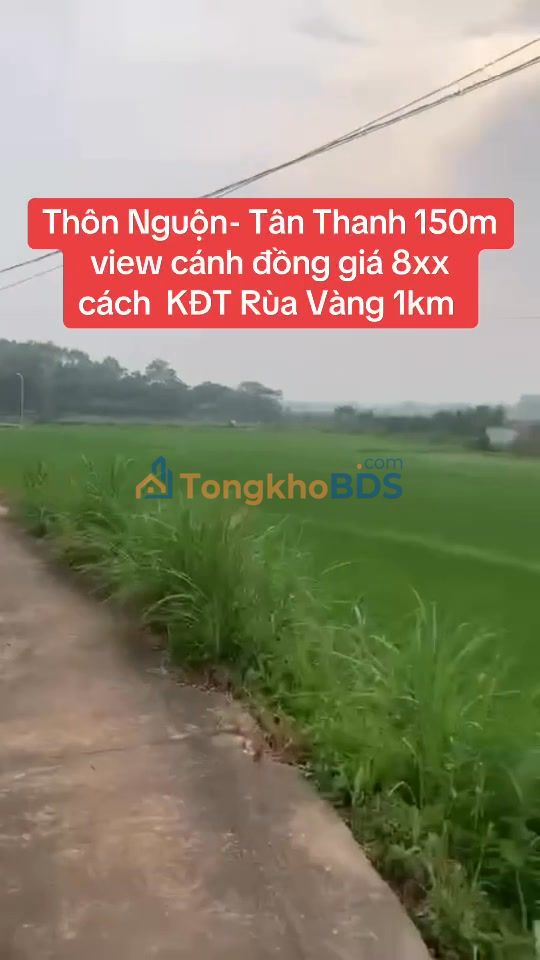 Đất nền Thôn Nguộn Tân Thanh 150m² 800 triệu - Tiềm năng tăng giá