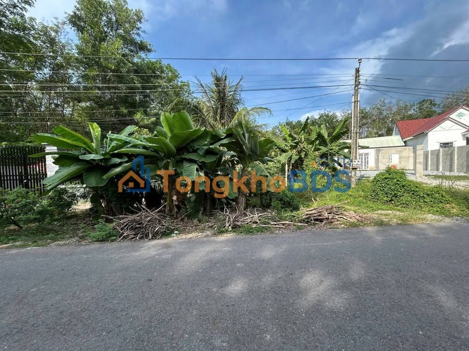 Đất Phước Vĩnh Phú Giáo 467m² 2.05 tỷ - Tiềm năng tăng giá