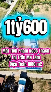 Đất Phạm Ngọc Thạch Ma Lâm 1.086m² 1,6 tỷ - Tiềm năng tăng giá