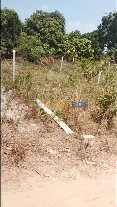 Đất nền Thạnh Đông Tân Châu 104m2 165 triệu - Đường ô tô