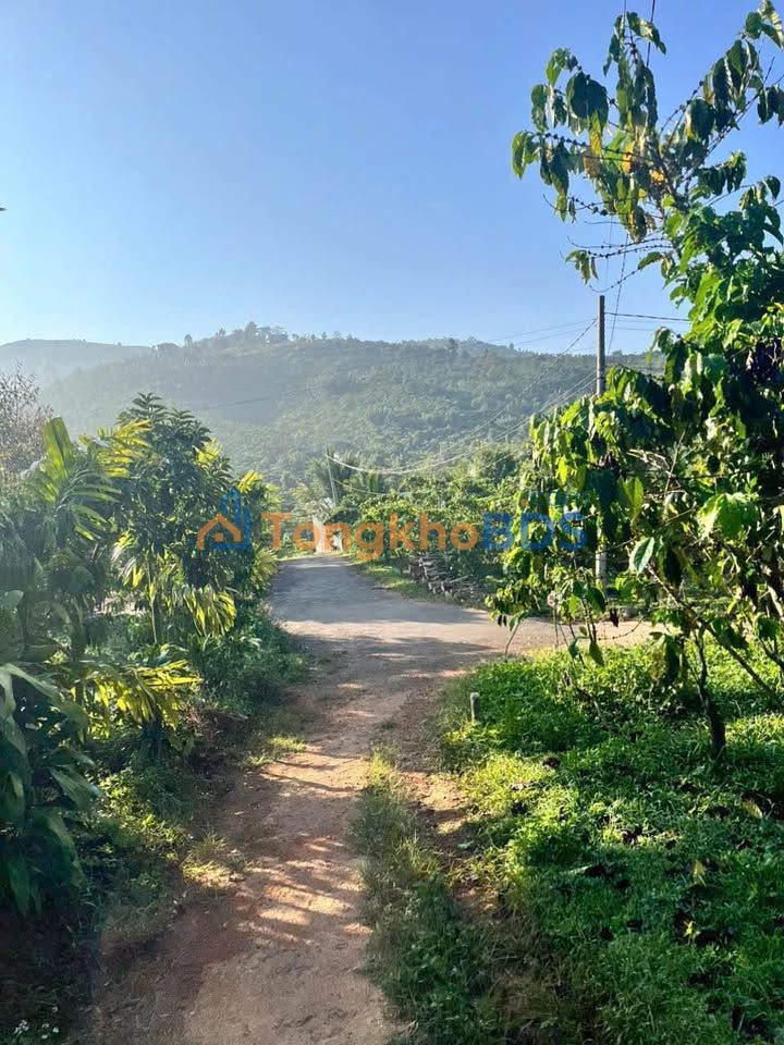 Đất nền Lộc Sơn Bảo Lộc 1440m² 1.88 tỷ - Sổ đỏ chính chủ