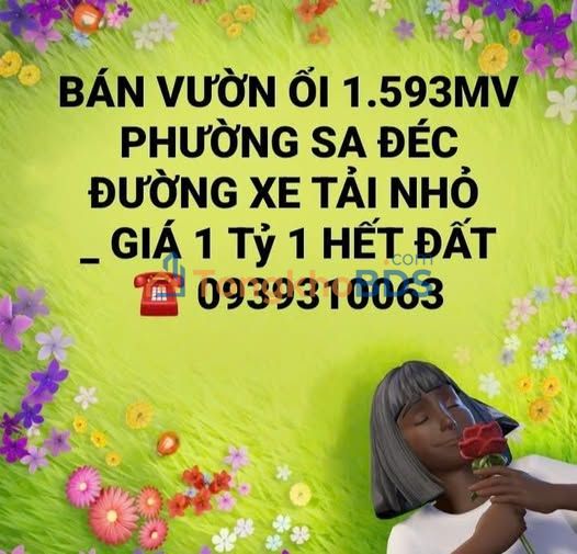 Đất vườn Sa Đéc 1593m² 1.1 tỷ - Sổ đỏ chính chủ