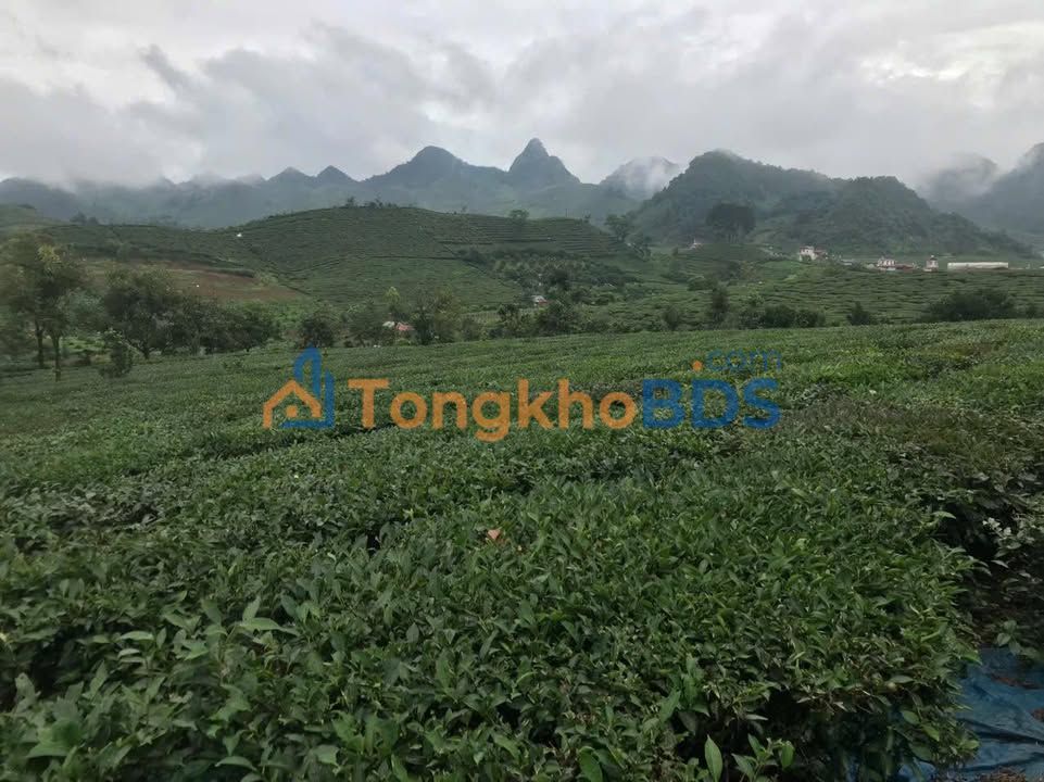 Đất nền Chiềng Yên Vân Hồ 5.000m²/10 tỷ - Đường to ô tô