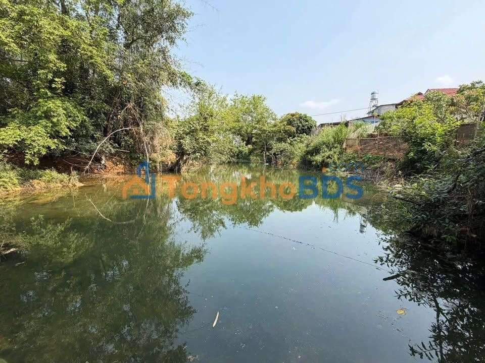 Đất nền Phường Mộc Lị 2.000m² giá 3 tỷ - Sổ đỏ chính chủ