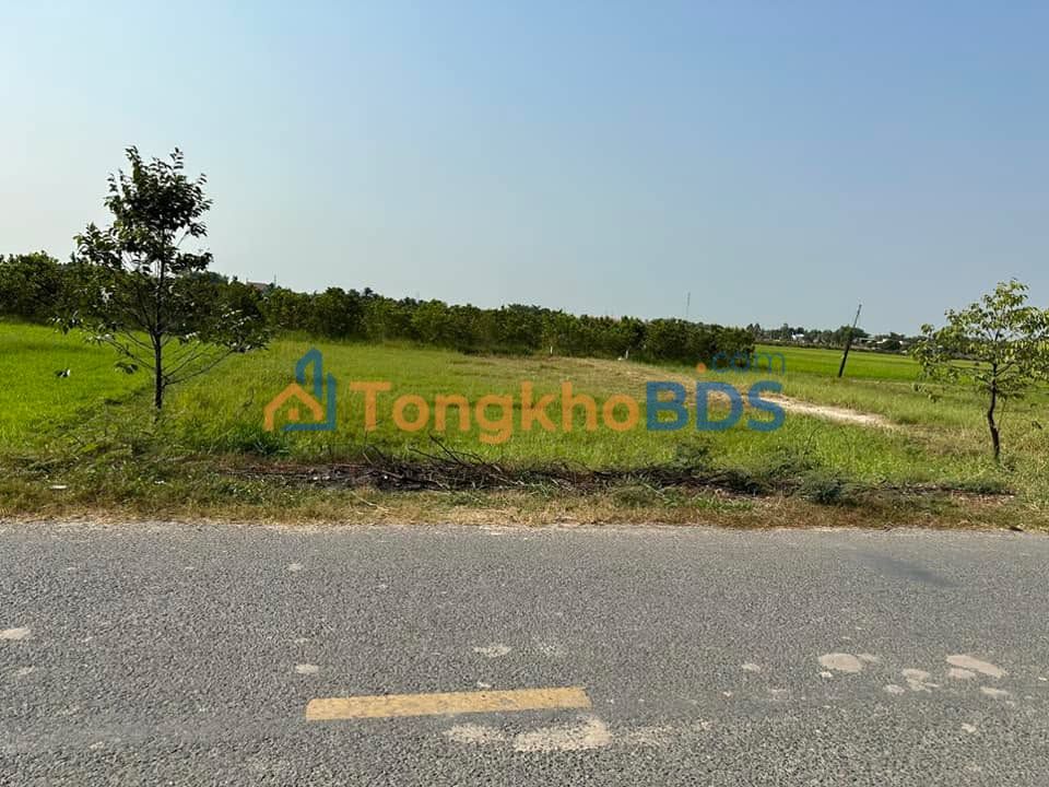 Đất nền Đức Hòa Hạ 527m² 4.8 tỷ - Sổ đỏ chính chủ