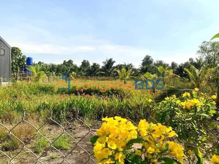 Đất vườn Lương Hòa Bến Lức 1,5 tỷ 1.000m² - Sổ hồng riêng