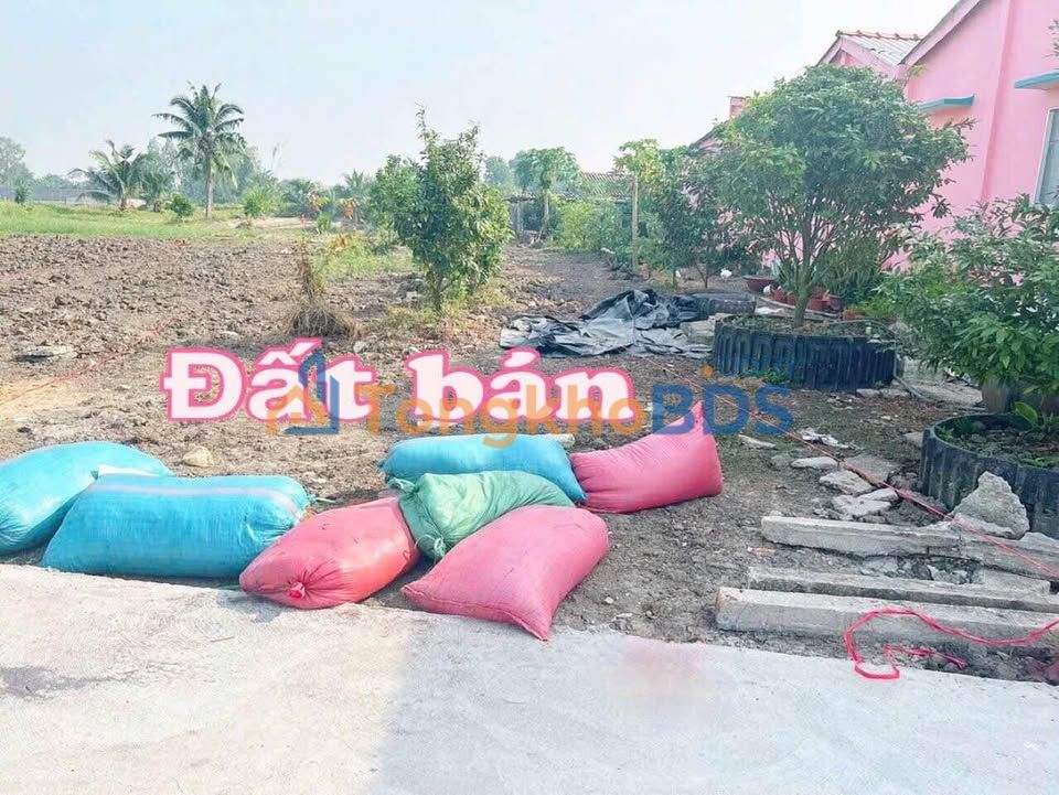 Đất nền Lạc Tấn Tân Trụ 486m² 479 triệu - Sổ hồng