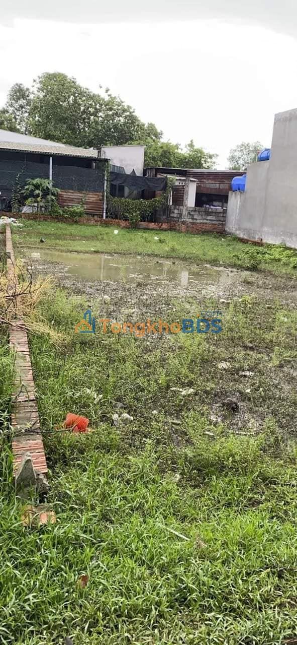 Đất nền Đức Hòa Thượng 275m2 1.8 tỷ - Sổ đỏ chính chủ