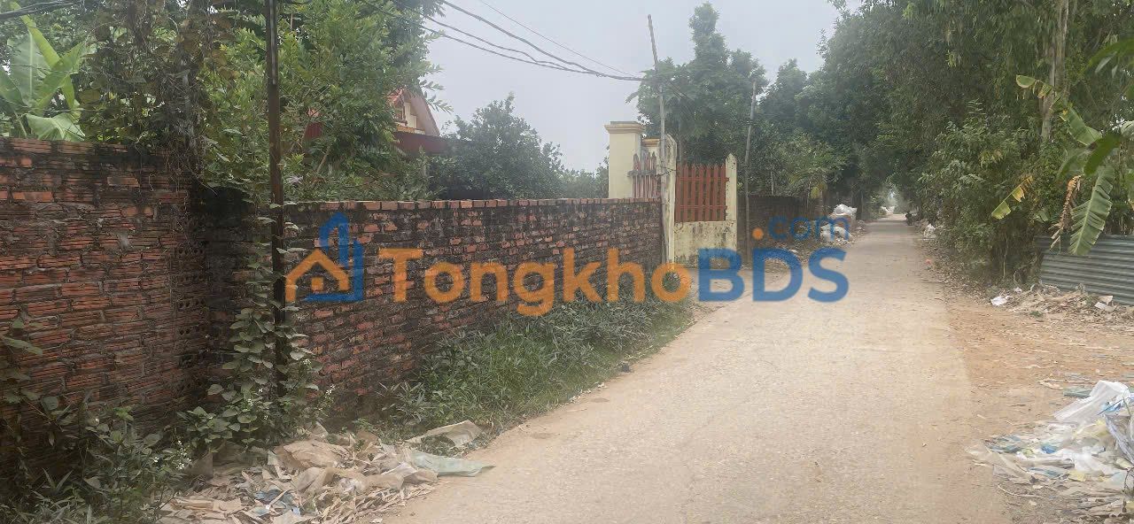 Đất nền Tự Lạn Từ Sơn 100m² 1,7 tỷ - Sổ đỏ chính chủ