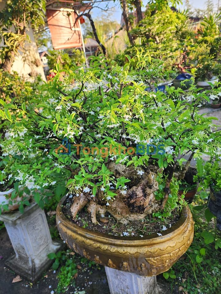 Đất Phước An 360m2 100-199 triệu - Sổ đỏ chính chủ