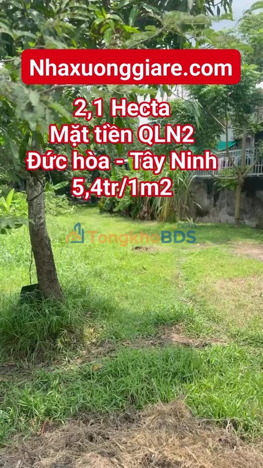 Đất vườn Đức Lập Hạ 21.109m² thỏa thuận - Đầu tư dài hạn