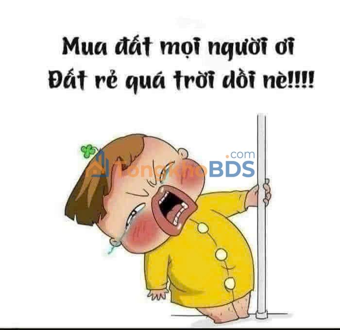 Đất nền Láng Dài BRVT 500m² 800 triệu - Sổ đỏ chính chủ