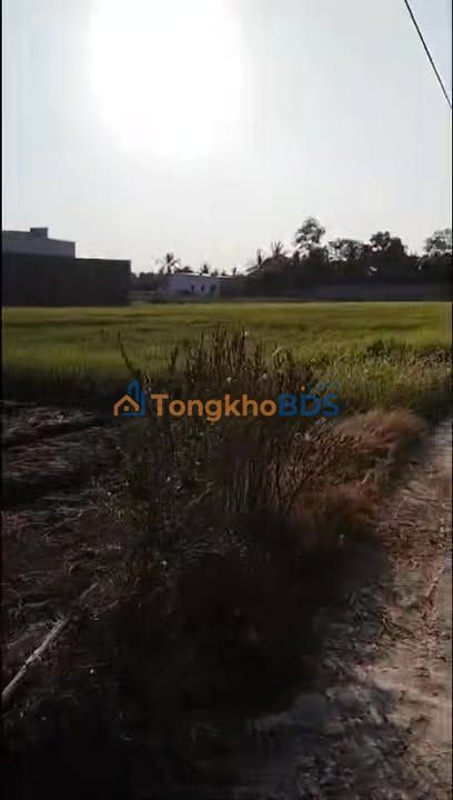 Đất vườn Phan Văn Chiêu Sóc Trăng 4.900m² - Đầu tư dài hạn