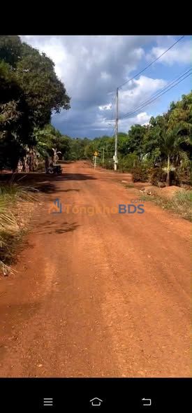 Đất nền Tân Hưng Đồng Phú 1ha 1.9 tỷ - Sổ đỏ chính chủ